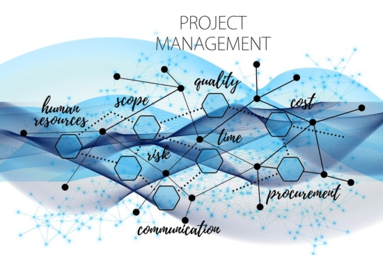 NEC Project management